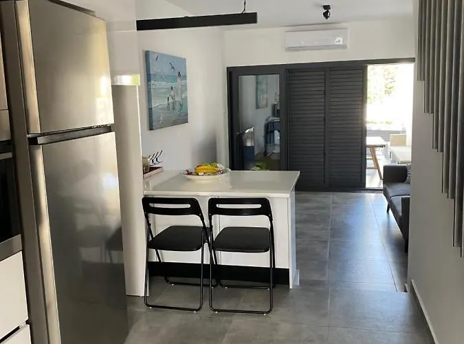 Bay Area * プロタラス