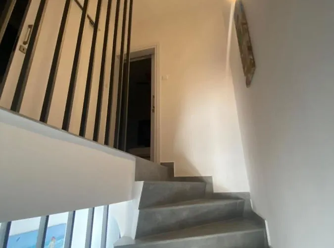 Bay Area * プロタラス